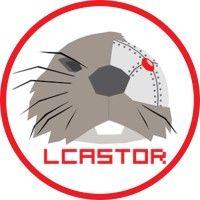 lcastor robocup team (university of lincoln) logo image