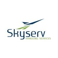 skyserv handling services logo image