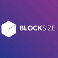 blocksize llc logo image