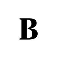 berlingske logo image