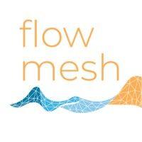 flowmesh logo image