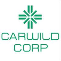 carwild corporation logo image