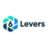 6 levers logo image