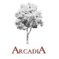 arcadia asesoria inversiones sl logo image