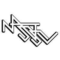 nasstive entertainment logo image