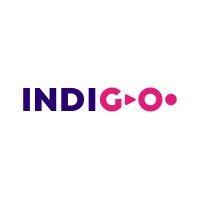 indigo education group logo image