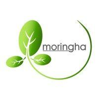 moringha ventures private limited