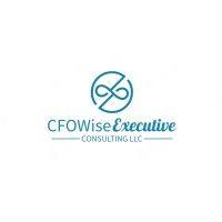 cfowise executive consulting llc logo image