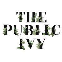 the public ivy logo image