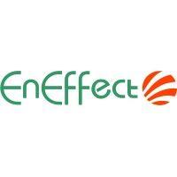 center for energy efficiency eneffect logo image