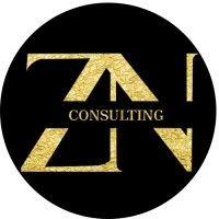 zn consulting logo image