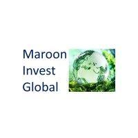 maroon invest global logo image