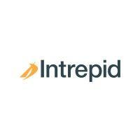 intrepid investment bankers logo image