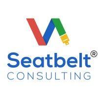 seatbelt consulting logo image