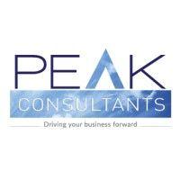 peak consultants bristol logo image