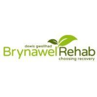 brynawel house alcohol and drug rehabilitation centre logo image