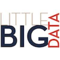 little big data logo image