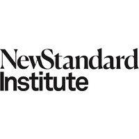 new standard institute logo image