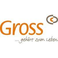 gross gmbh logo image