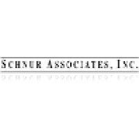 schnur associates inc. logo image