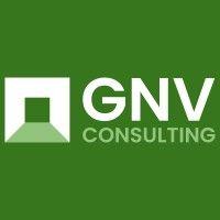 gnv consulting logo image