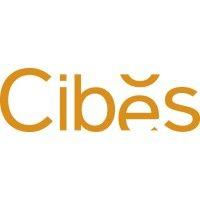 cibes lift uk logo image