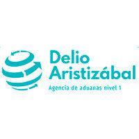 agencia de aduanas delio aristizábal & cia s.c. nivel 1 logo image