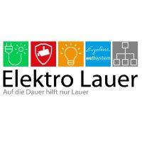 elektro lauer