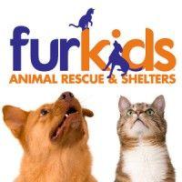 furkids animal rescue & shelters logo image