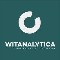 witanalytica logo image