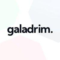 galadrim logo image