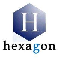 hexagon software ltd logo image