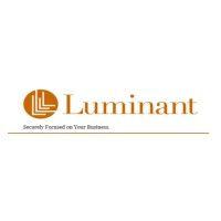 luminant group, llc logo image