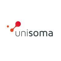 unisoma - soluções inteligentes que suportam decisões