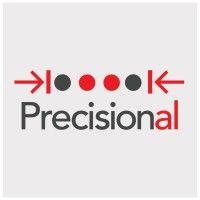 precisional llc logo image