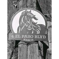 academy riding stables logo image