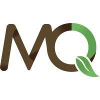 mq foundation logo image