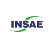 grupo insae logo image