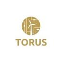 logo of Torus