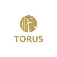 torus logo image