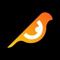 birdeye.so logo image