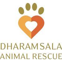 dharamsala animal rescue logo image