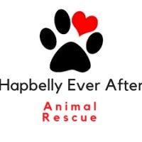 hapbelly ever after animal rescue 501(c)(3) logo image