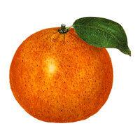 satsuma fine art logo image