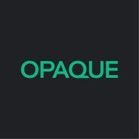 opaque systems logo image