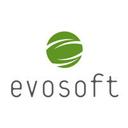 logo of Evosoft