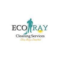 ecoray cleaning services