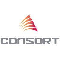 consort digital logo image