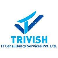 trivish it consultancy services pvt. ltd