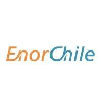 enorchile s.a. logo image